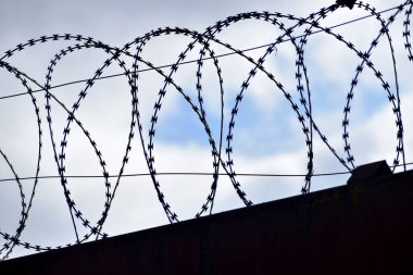 Resim dikenli telleri ve gökyüzüne karşı koyu bir çiti gösteriyor..