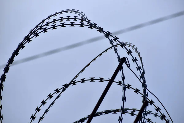 Picture Shows Barbed Wire Sky — Stock Photo, Image