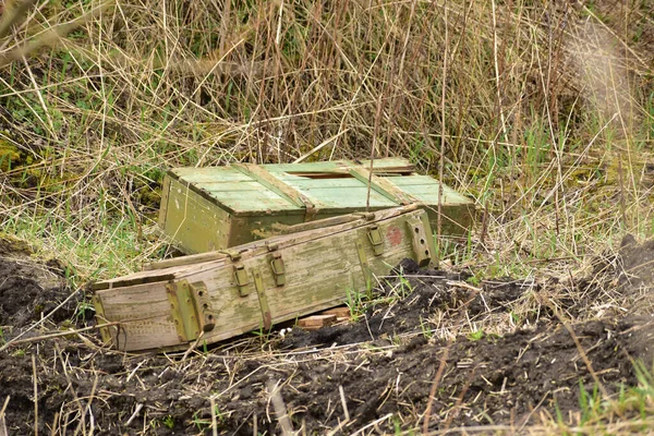 Drewniany Pojemnik Przeznaczony Transportu Muszli Pozostawiono Trawie — Zdjęcie stockowe