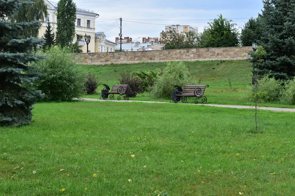 市立公园 绿草及几条木制长椅 供市民休憩 — 图库照片