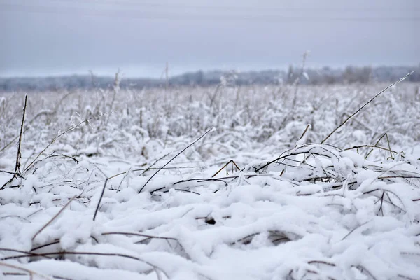Paisagem Inverno Campo Densamente Coberto Com Neve Branca — Fotografia de Stock
