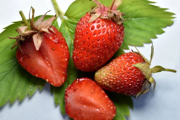 Reife Rote Erdbeeren Liegen Auf Grünen Blättern — Stockfoto