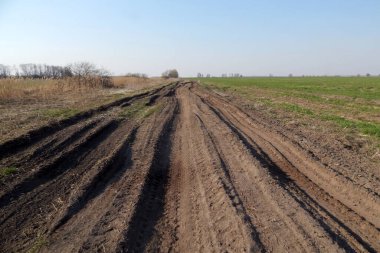 Resim, tarlanın kenarındaki ekipman tekerlerinin kırdığı bir yolu gösteriyor..