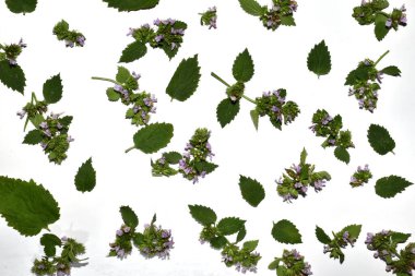 Doku deseni mor çiçeklerle yaratılmış, yeşil yapraklar rastgele beyaza saçılmış..