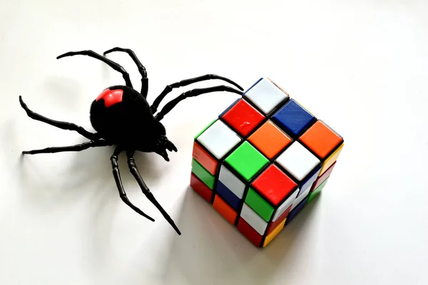 Фотографії Павук Чорна Вдова Повзе Дитячу Іграшку — стокове фото