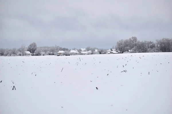 Picture Shows Field Covered Thick Snow Village Horizon — Fotografia de Stock