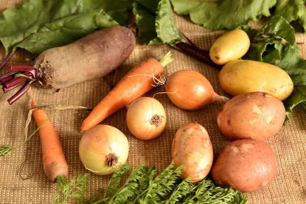 Close Picture Ripe Fruits Beets Carrots Potatoes Onions Leaves Tops —  Fotos de Stock