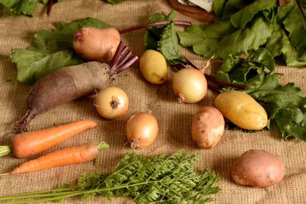 Close Picture Ripe Fruits Beets Carrots Potatoes Onions Lie Fabric —  Fotos de Stock