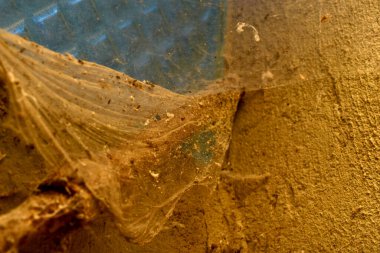 The picture shows the cobwebs of an old, dusty and dirty barn window.