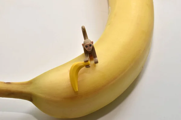 Picture Shows Children Toy Monkey Sits Banana Holding Banana Its — стоковое фото