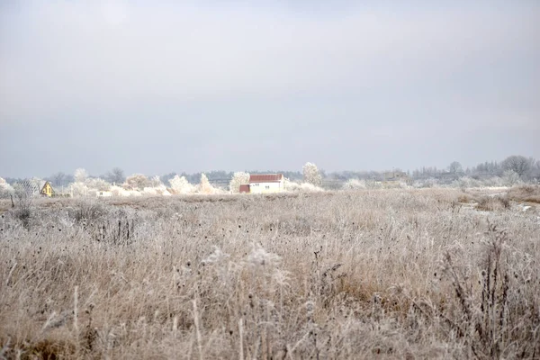 Picture Shows Field Dry Grass Has Turned White Frost — Fotografia de Stock