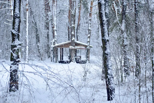 Zdjęciu Altana Wybudowana Lesie Pokryta Śniegiem Dach Budynku Drzewa — Zdjęcie stockowe