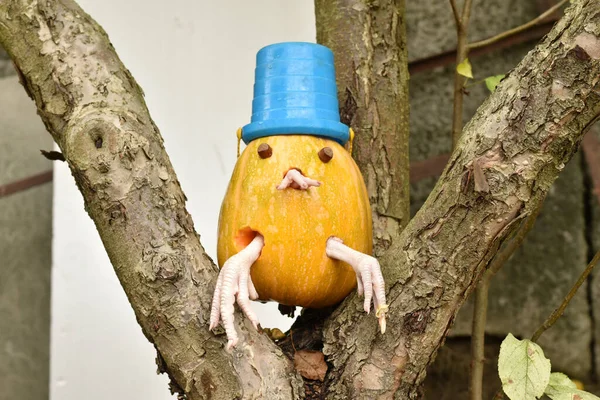 Oblong Pumpkin Jack Lantern Chicken Legs Blue Hat Sits Tree — Stock Photo, Image
