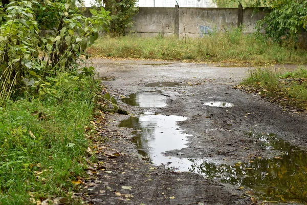 田舎道の水たまりの中には 木から落ちた黄色の葉があります — ストック写真