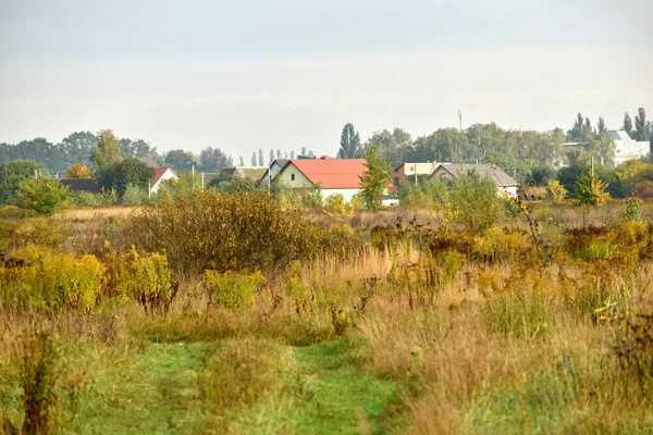 Herbst Saftiges Gras Färbt Sich Auf Dem Feld Gelb Und — Stockfoto