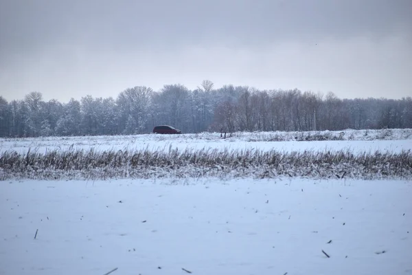 Εικόνα Δείχνει Ένα Φυσικό Τοπίο Που Αποτελείται Από Ένα Χιονισμένο — Φωτογραφία Αρχείου