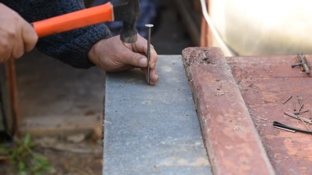 Carpintero Está Reparando Puerta Fija Una Lámina Metal Con Clavos — Vídeo de stock