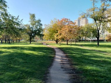 Sarı yapraklı ve yeşil çimenli ağaçlarla dolu şehir parkı..