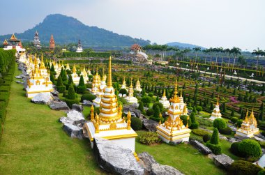 Nong Nooch