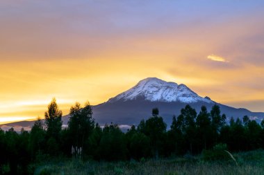 Karlı Chimborazo 'nun yanında gün batımı