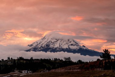 Karlı Chimborazo 'nun yanında gün batımı