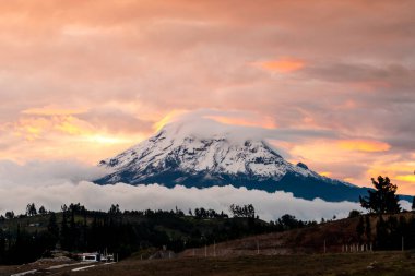 Karla kaplı Chimborazo volkanı