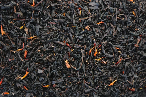 Black tea — Stock Photo, Image