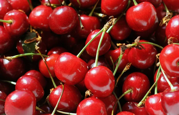 Sweet cherry Stockfoto