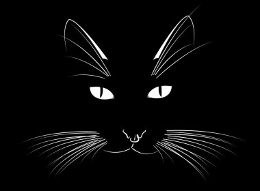 bir cat çehresini