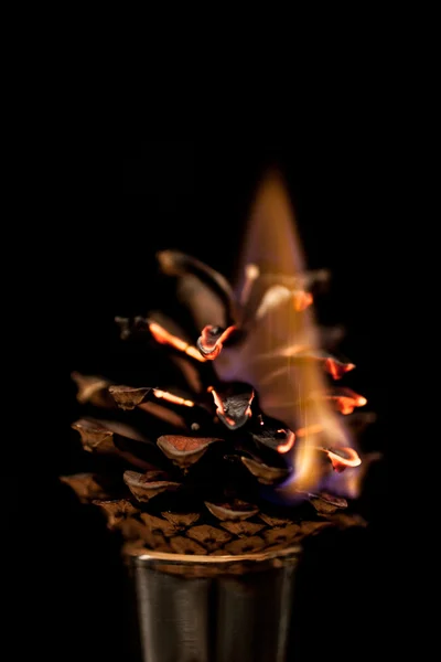 Leaves in flame — Stock Photo, Image