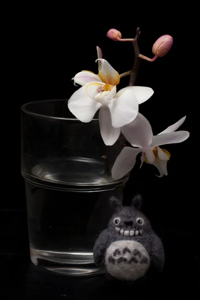Орхидея и тоторо — стоковое фото