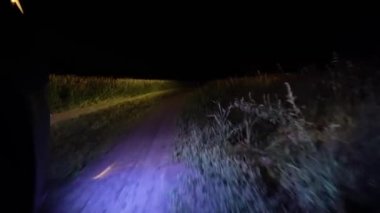 Gece gezintisi ya da araba gezintisi. Farların altında bir tarla yolu boyunca. Otlakta otlarla ve off-road 'larla gece gezintisi.