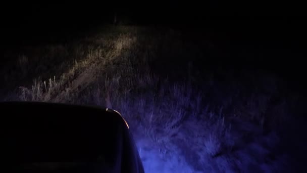 ヘッドライトのフィールド道路に沿って夜の旅行や車に乗る 暗闇の中で夜に草やオフロードで牧草地に乗って 車のヘッドライトの下でフィールドの夜の風景 — ストック動画