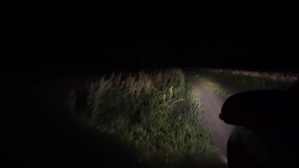 夜游或汽车在灯光下沿着田野的道路行驶 在黑暗中 在草地上骑着草和小路 在车灯下 田野的夜景 — 图库视频影像
