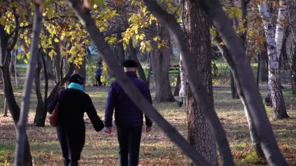 Händchenhaltend Gehen Mann Und Frau Über Den Platz Harmonie Glück — Stockvideo