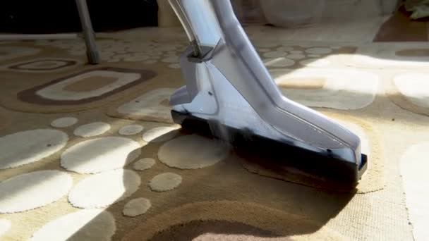 Limpeza Limpeza Úmida Das Instalações Lavagem Carpetes Com Aspirador Limpeza — Vídeo de Stock