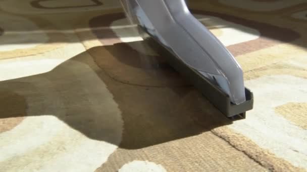 Limpeza Limpeza Úmida Das Instalações Lavagem Carpetes Com Aspirador Limpeza — Vídeo de Stock