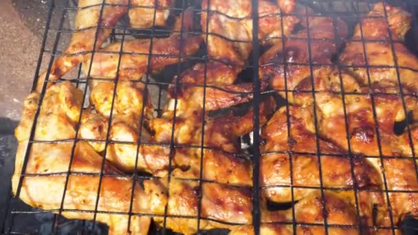 烤鸡翅 视频4K煮煎什锦烤肉 什锦或在煤块上的肉 夏天野餐时 在大自然的绞架上烤肉 烤架上的猪肉 — 图库视频影像