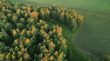 AERİAL. Yeşil alan, ormanlar ve çayırlar. Tarımsal bir arazide orman arazileri. Ormanın havadan görünüşü. İnanılmaz bir doğa. Güzel manzara. İHA ve kuadrokopterden ateş ediliyor.. 