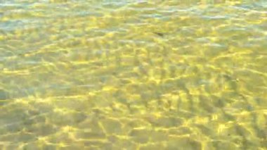 Reflections, glare and reflexes on the water surface on a sunny day.The sun's rays on the yellow golden sand under the water.