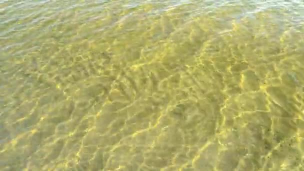 Reflections Glare Reflexes Water Surface Sunny Day Sun Rays Yellow — Stockvideo