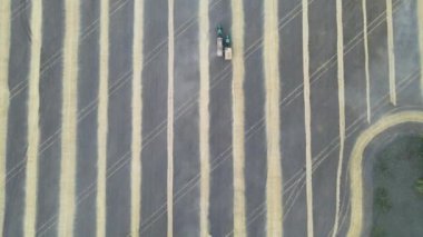 Harvesting of grain crops.Harvesting wheat,oats and barley in fields,ranches and farmlands.Combines mow wheat in the field.Agro-industry.Combine Harvester Cutting on wheat filed.Machine harvest wheat