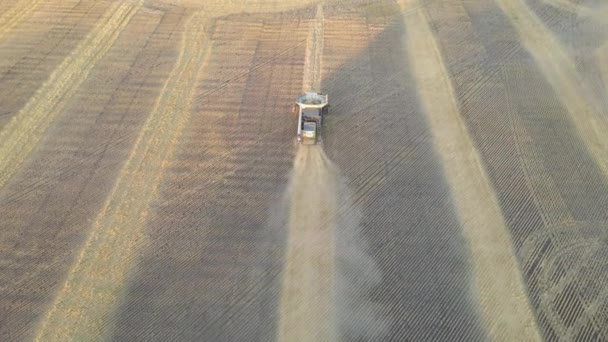 Harvesting Grain Crops Harvesting Wheat Oats Barley Fields Ranches Farmlands — Stok Video