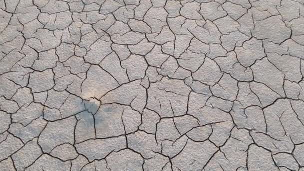 Geology Dried Riverbeds Lakes Drought Global Warming Climate Change Cracked — Vídeos de Stock