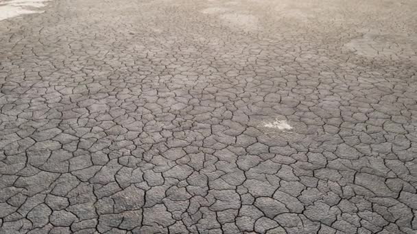 Geology Dried Riverbeds Lakes Drought Global Warming Climate Change Cracked — 图库视频影像