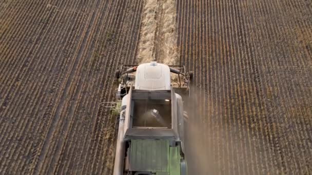 Harvesting Grain Crops Harvesting Wheat Oats Barley Fields Ranches Farmlands — Stockvideo