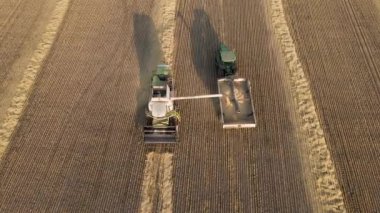 Moscow,Russia-08.24.2022:Harvesting wheat,oats and barley in fields, ranches and agricultural lands.Tractor transports wheat in the field.Agro-industrial complex.Wheat harvesting machine.Wheat Field