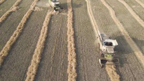 Moscow Russia 2022 Harvesting Wheat Oats Barley Fields Ranches Agricultural — Video
