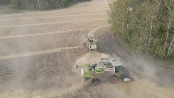Moscow Russia 2022 Harvesting Wheat Oats Barley Fields Ranches Agricultural — Vídeo de Stock