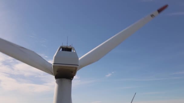 Green Energy Wind Turbines Wind Turbines Alternative Energy Sources Renewable — Stok video